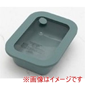 谷口金属工業 TANUGUCHI 谷口金属 ズボラ 万能な保存容器 0.6L グリーン