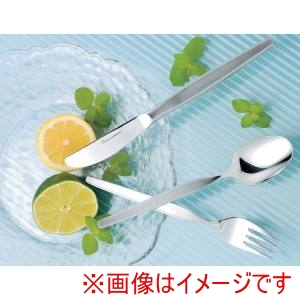 遠藤商事 TKG TKG クローム ハイライン テーブルナイフ OHI02030 遠藤商事