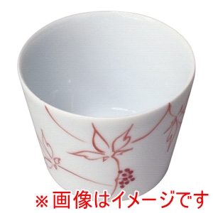 遠藤商事 TKG TKG そば千代口 うこぎ 赤 2702-472 遠藤商事