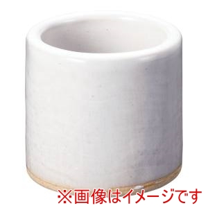 遠藤商事 TKG TKG 乳白 楊枝差 T03-336 RKSE701 遠藤商事