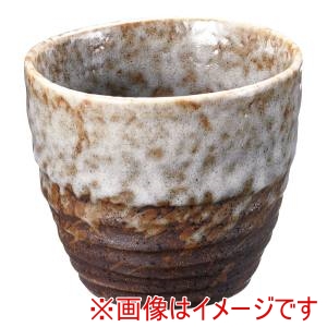 遠藤商事 TKG TKG 志野吹 一服椀 D03-140 RWV4801 遠藤商事