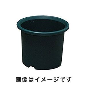 アイリスオーヤマ IRIS ディーポット ハンターグリーン 6号