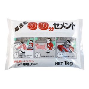 家庭化学工業 家庭化学工業 超速乾30分セメント ホワイト 1kg