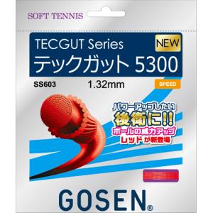 ゴーセン GOSEN ゴーセン ソフトテニス ストリングス テックガット5300レッド SS603RE GOSEN