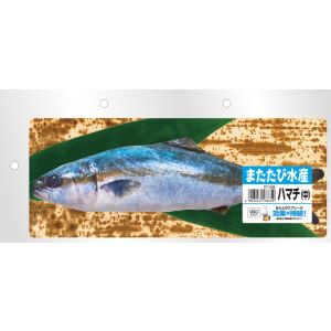 マルカン MG マルカン またたび水産 ハマチ 中 MG