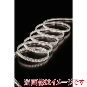 ハタヤ ハタヤリミテッド RLTP10D LEDテープライトR両面