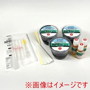 サンハヤト Sunhayato サンハヤト BLK-L301 インペイブラック 100g Sunhayato