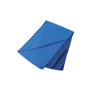 日本緑十字社 緑十字 375670 冷感タオル クールタオル カラビナボトル付 ブルー 300×950mm