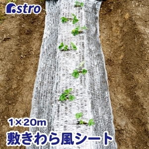 アストロ アストロ 敷きわら風 キラキラシート 1×20m 530-10