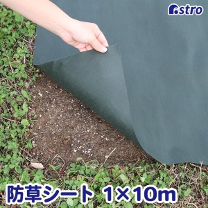 アストロ アストロ 防草シート グリーン 1×10m 80 624-05
