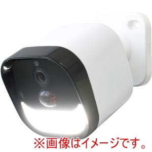 大進 大進 DLA-RD300-SL LEDセンサーライト付きワイヤレス防犯カメラ