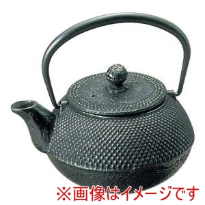 岩鋳 岩鋳 南部鉄 急須 アラレ 0.3L 3型 12301