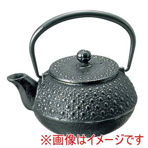 岩鋳 岩鋳 南部鉄 急須 亀甲型 0.65L 5型 12304