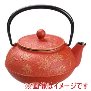 岩鋳 岩鋳 急須 カエデ 5型 金/赤茶