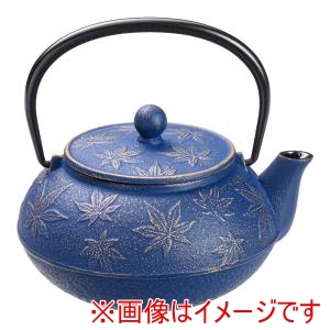 岩鋳 岩鋳 急須 カエデ 5型 金/ヨーロッパブルー