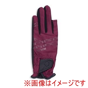羽立工業 ＨＡＴＡＣＨＩ ハタチ BH8028 グラウンドゴルフ パークゴルフ手袋 ウルトラストレッチグローブ ワイン 66 SS HATACHI
