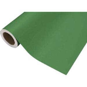中川ケミカル 中川ケミカル CS045425R カッティングシート425ビビットグリーン450mm×12M