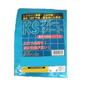 資材ツール 資材ツール ブルーシート パック入 10x10 #3000