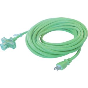 正和電工 SEIWA 正和電工 PM-10G ピカマルチ 延長コード 若草