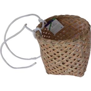 伝蔵 伝蔵 F041 メカイ J1000 小