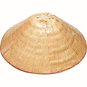 伝蔵 伝蔵 F289 日除け笠 小