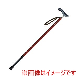 シナノ シナノ 458004 601282 抗ウイルス楽ーダ 伸縮+ レッド