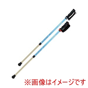 シナノ シナノ 428408 650190 あんしん2本杖 2本1組 ブルー