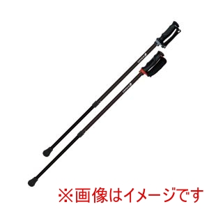 シナノ シナノ 428406 650193 あんしん2本杖 2本1組 ブラック