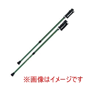 シナノ シナノ 522032 650212 もっと安心2本杖 2本1組 グリーン