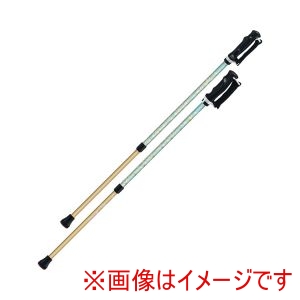 シナノ シナノ 522034 650214 もっと安心2本杖 2本1組 ターコイズ