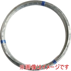 ダイドーハント DAIDOHANT ダイドーハント　10155459 針金 5Kg巻 #10