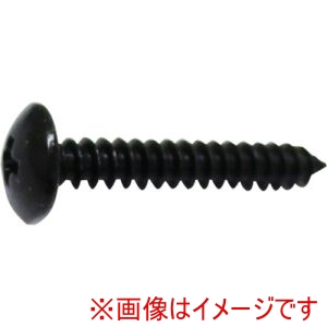 ダイドーハント DAIDOHANT ダイドーハント　10185595 HP 黒タッピング トラス 3×20 10本入