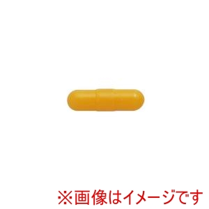 兼古製作所 アネックス Anex アネックス HBN-10 交換用先端ネジキャッチ10mm用 Anex 兼古製作所