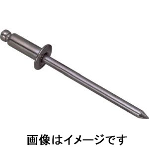 ロブテックス LOBTEX ロブテックス NS5-2 エビ ブラインドリベット スティール/スティール 5-2 1000本入