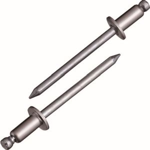 ロブテックス LOBTEX ロブテックス NSS6-4 エビ ブラインドリベット ステンレス/スティール 6-4 1000本入