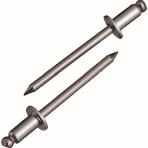 ロブテックス LOBTEX ロブテックス NST6-4 エビ ブラインドリベット ステンレス/ステンレス 6-4 1000本入