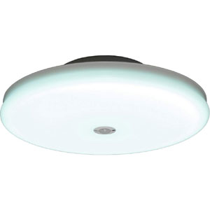 アイリスオーヤマ アイリスオーヤマ SCL20DMS-UU LEDシーリングライト 小型 薄形 人感センサー付 昼光色 2000lm