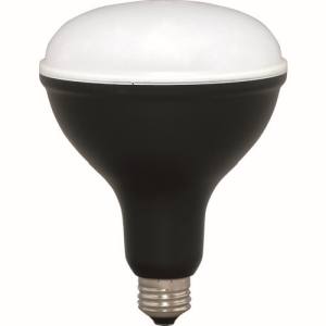 アイリスオーヤマ アイリスオーヤマ LDR16D-H LED電球投光器用1800lm 522204