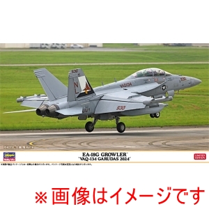 ハセガワ ハセガワ 02487 1/72 EA-18G グラウラー VAQ-134 ガルーダス 2024