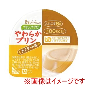 ハウスギャバン ハウスギャバン 528204 091241 やさしくラクケア やわらかプリン カスタード味 63g
