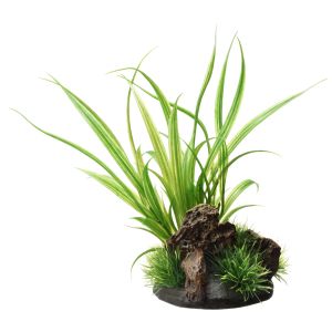 ジェックス GEX ジェックス 癒し水景 アクアキャンバス シペルス 約幅12×奥行11×高さ21cm熱帯魚アクアリウム水草