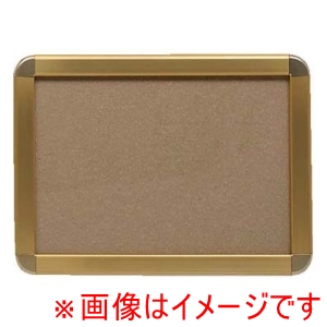 プラチナ万年筆 プラチナ万年筆  アケパネG G B2判 ゴールド/ゴールド