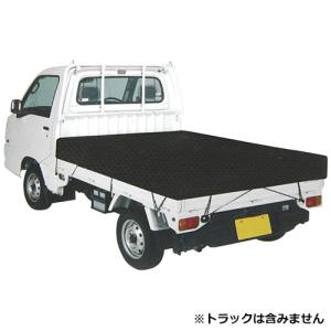 SK11 SK11 SKS-C1921BK 軽トラックシート 彩色