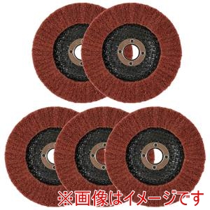 E-Value E-Value EV5ーTI10 塗装一掃 中目 5枚