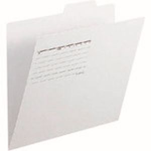 プラス PLUS プラス FL-061IF GY 87099 個別フォルダー FL-061IF A4E グレー