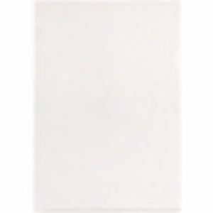 プラス プラス FL-213HO 88517 クリアーホルダーA4 10P