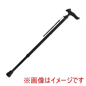 フジホーム フジホーム 393428 WB3930 ステッキ かるがもオム ストライプ