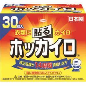 興和 KOWA ホッカイロ 貼る 30個入 28270