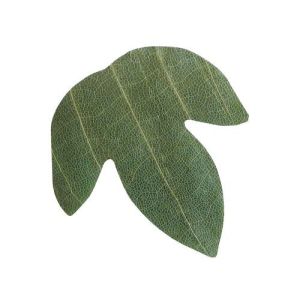 ヤマコー 用美 YAMACO ヤマコー プチ干朴葉懐敷 緑 50枚入 23921 かえで型