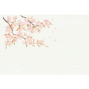 ヤマコー 用美 YAMACO ヤマコー 尺3 雲竜和紙 懐石まっと 四季 桜 50枚入 64377 用美